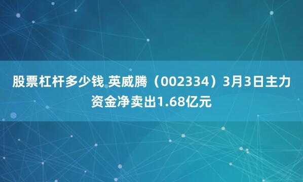 股票杠杆多少钱 英威腾（002334）3月3日主力资金净卖出1.68亿元