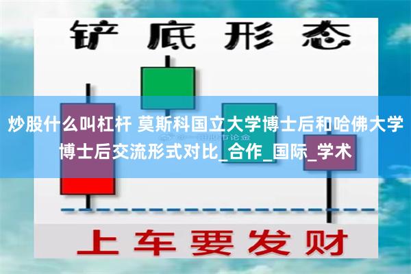 炒股什么叫杠杆 莫斯科国立大学博士后和哈佛大学博士后交流形式对比_合作_国际_学术