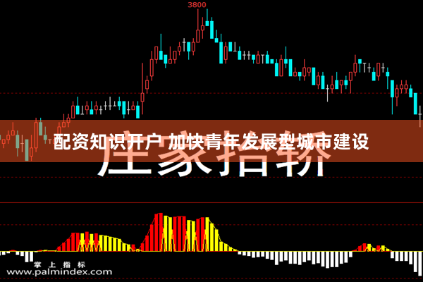 配资知识开户 加快青年发展型城市建设