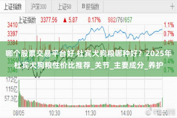 哪个股票交易平台好 杜宾犬狗粮哪种好？2025年杜宾犬狗粮性价比推荐_关节_主要成分_养护
