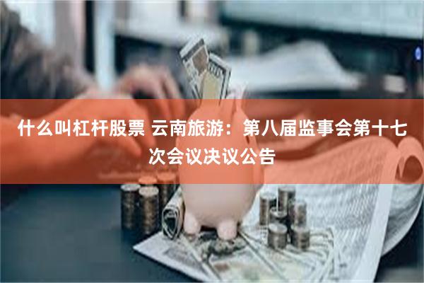 什么叫杠杆股票 云南旅游：第八届监事会第十七次会议决议公告