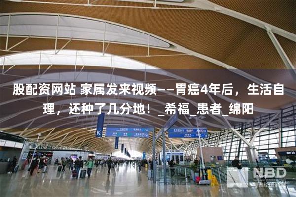 股配资网站 家属发来视频——胃癌4年后，生活自理，还种了几分地！_希福_患者_绵阳