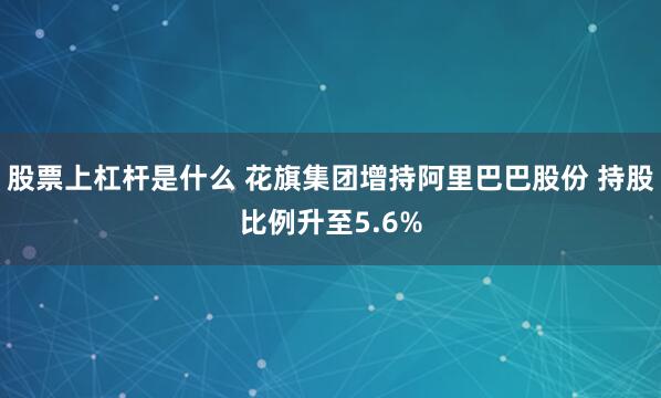股票上杠杆是什么 花旗集团增持阿里巴巴股份 持股比例升至5.6%