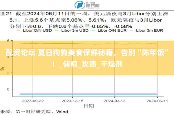 配资论坛 夏日狗狗美食保鲜秘籍，告别“陈年饭”！_储粮_攻略_干燥剂