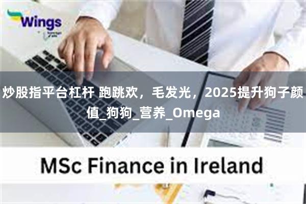 炒股指平台杠杆 跑跳欢，毛发光，2025提升狗子颜值_狗狗_营养_Omega
