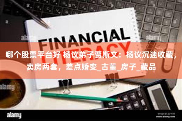 哪个股票平台好 杨议弟子贾斯文：杨议沉迷收藏，卖房两套，差点婚变_古董_房子_藏品