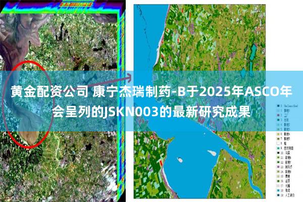 黄金配资公司 康宁杰瑞制药-B于2025年ASCO年会呈列的JSKN003的最新研究成果