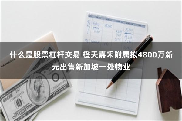 什么是股票杠杆交易 橙天嘉禾附属拟4800万新元出售新加坡一处物业