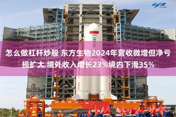怎么做杠杆炒股 东方生物2024年营收微增但净亏损扩大 境外收入增长23%境内下滑35%
