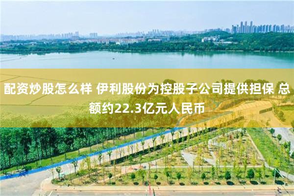 配资炒股怎么样 伊利股份为控股子公司提供担保 总额约22.3亿元人民币