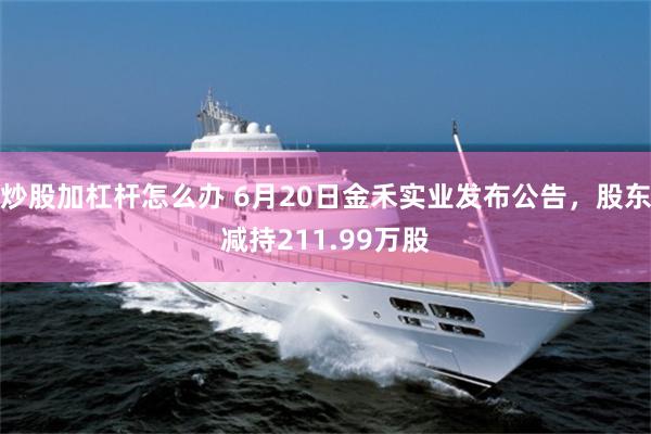 炒股加杠杆怎么办 6月20日金禾实业发布公告，股东减持211.99万股
