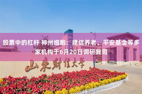股票中的杠杆 神州细胞:建信养老、平安基金等多家机构于6月20日调研我司