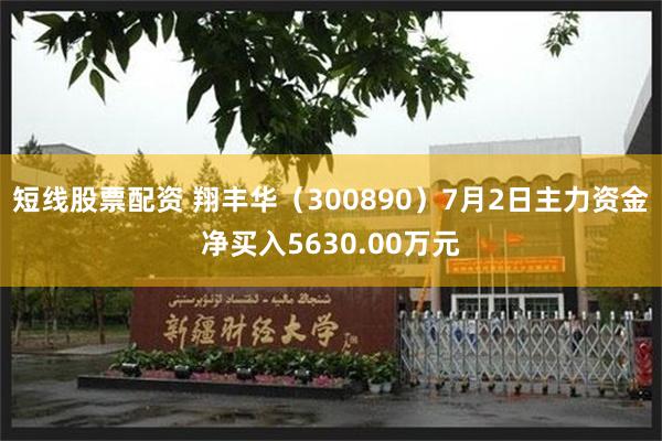 短线股票配资 翔丰华(300890)7月2日主力资金净买入5630.00万元