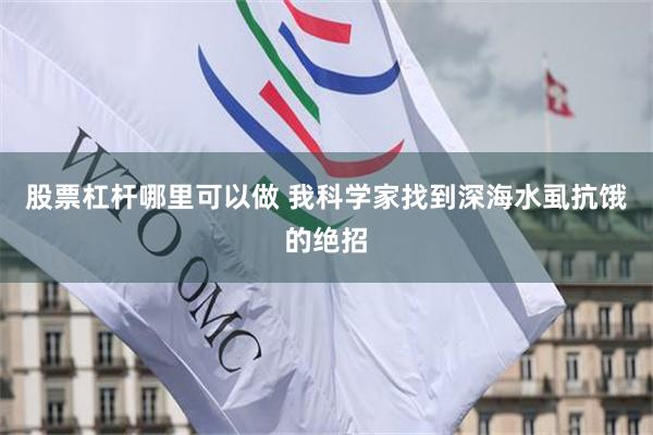 股票杠杆哪里可以做 我科学家找到深海水虱抗饿的绝招