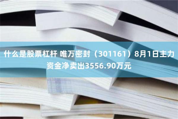 什么是股票杠杆 唯万密封（301161）8月1日主力资金净卖出3556.90万元