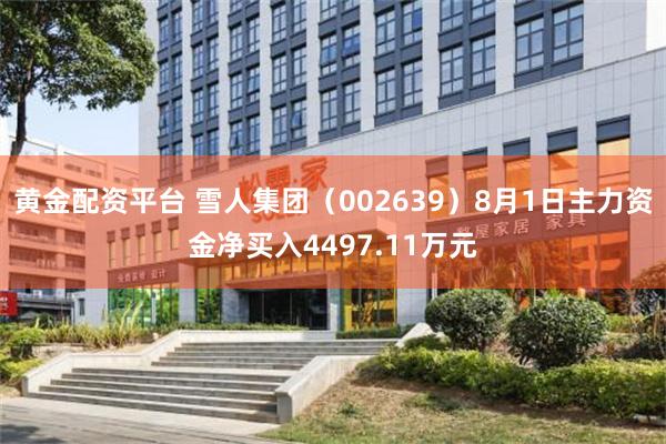 黄金配资平台 雪人集团（002639）8月1日主力资金净买入4497.11万元