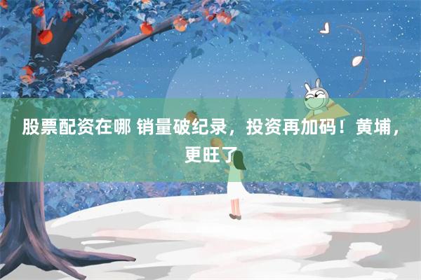 股票配资在哪 销量破纪录,投资再加码!黄埔,更旺了