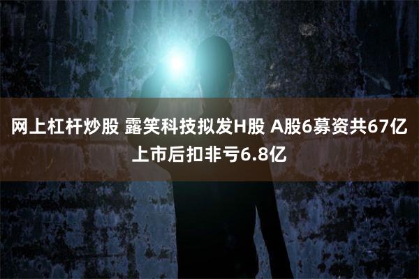 网上杠杆炒股 露笑科技拟发H股 A股6募资共67亿上市后扣非亏6.8亿