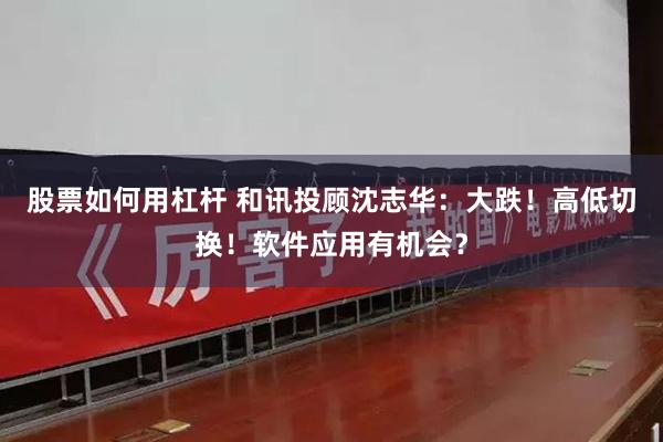 股票如何用杠杆 和讯投顾沈志华：大跌！高低切换！软件应用有机会？