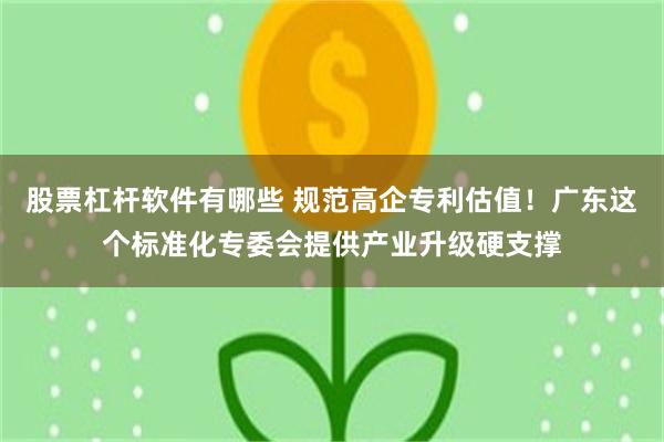 股票杠杆软件有哪些 规范高企专利估值！广东这个标准化专委会提供产业升级硬支撑