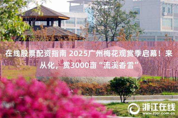 在线股票配资指南 2025广州梅花观赏季启幕！来从化，赏3000亩“流溪香雪”