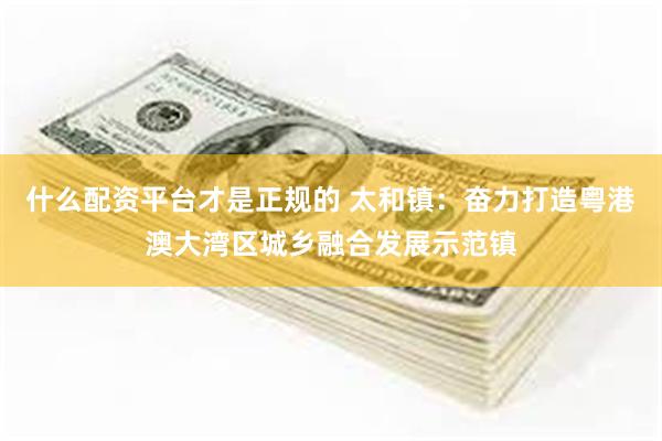 什么配资平台才是正规的 太和镇：奋力打造粤港澳大湾区城乡融合发展示范镇