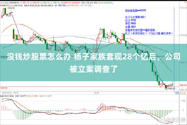 没钱炒股票怎么办 杨子家族套现28个亿后，公司被立案调查了
