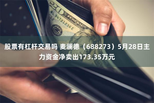 股票有杠杆交易吗 麦澜德（688273）5月28日主力资金净卖出173.35万元