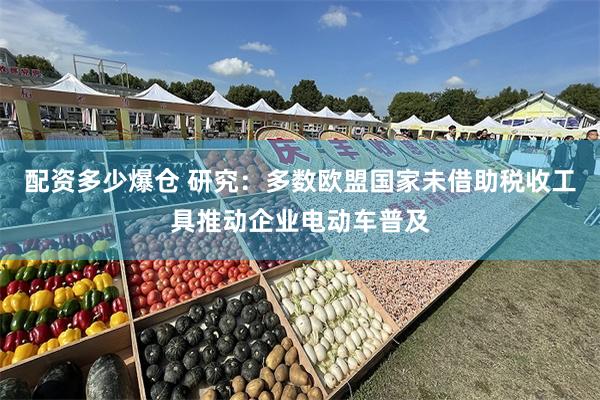 配资多少爆仓 研究:多数欧盟国家未借助税收工具推动企业电动车普及
