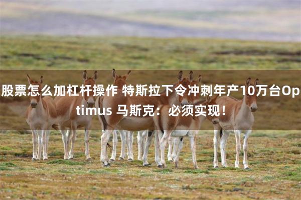 股票怎么加杠杆操作 特斯拉下令冲刺年产10万台Optimus 马斯克:必须实现!