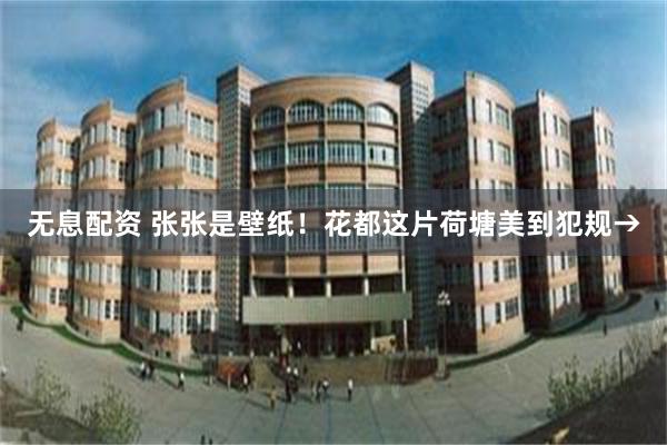 无息配资 张张是壁纸！花都这片荷塘美到犯规→