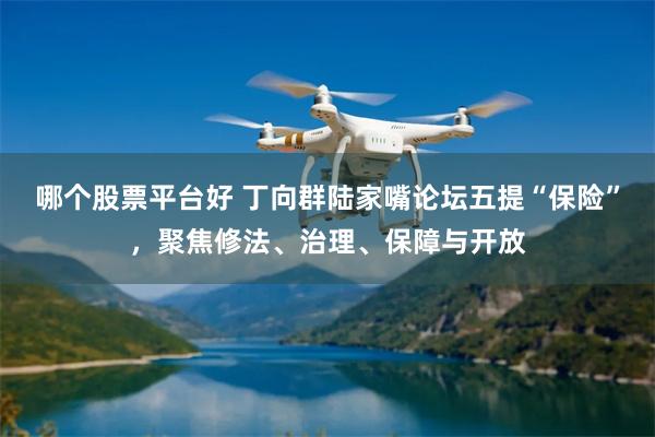 哪个股票平台好 丁向群陆家嘴论坛五提“保险”，聚焦修法、治理、保障与开放