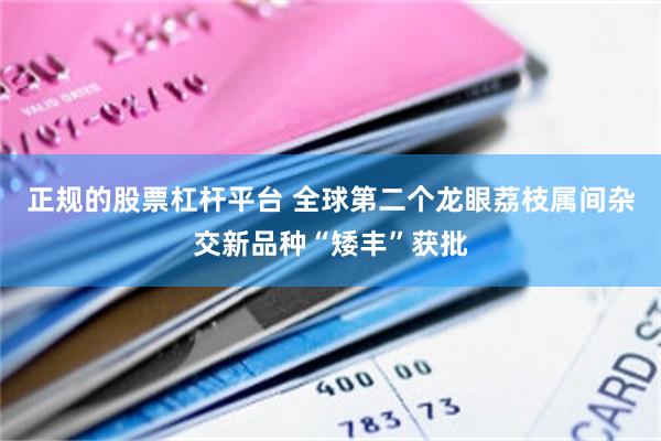 正规的股票杠杆平台 全球第二个龙眼荔枝属间杂交新品种“矮丰”获批