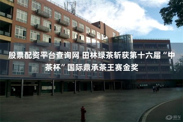 股票配资平台查询网 田林绿茶斩获第十六届“中茶杯”国际鼎承茶王赛金奖