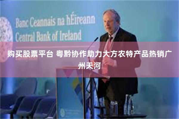 购买股票平台 粤黔协作助力大方农特产品热销广州天河