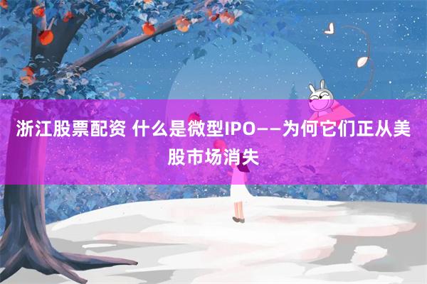 浙江股票配资 什么是微型IPO——为何它们正从美股市场消失