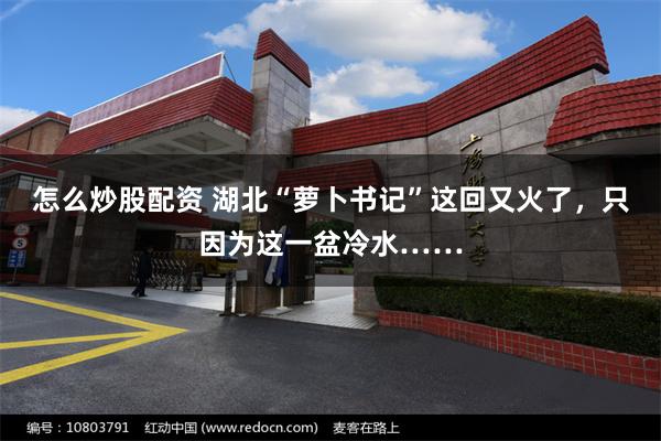 怎么炒股配资 湖北“萝卜书记”这回又火了，只因为这一盆冷水……