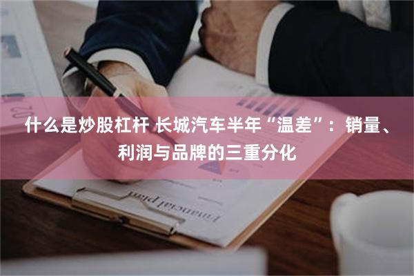 什么是炒股杠杆 长城汽车半年“温差”:销量、利润与品牌的三重分化