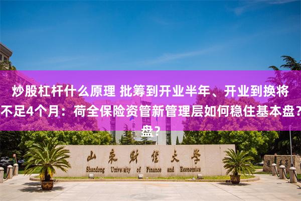 炒股杠杆什么原理 批筹到开业半年、开业到换将不足4个月：荷全保险资管新管理层如何稳住基本盘？