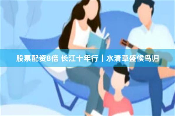 股票配资8倍 长江十年行｜水清草盛候鸟归