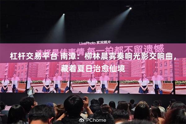 杠杆交易平台 南漳：柳林晨雾奏响光影交响曲，藏着夏日治愈仙境