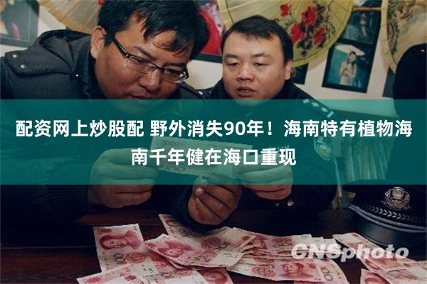 配资网上炒股配 野外消失90年！海南特有植物海南千年健在海口重现