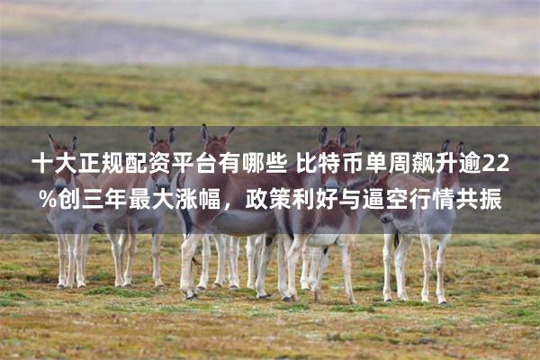 十大正规配资平台有哪些 比特币单周飙升逾22%创三年最大涨幅，政策利好与逼空行情共振