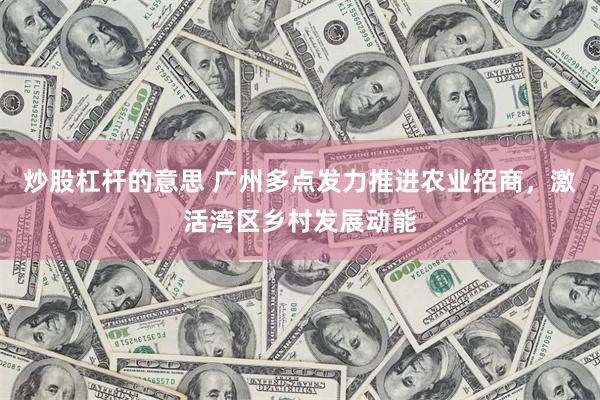 炒股杠杆的意思 广州多点发力推进农业招商，激活湾区乡村发展动能