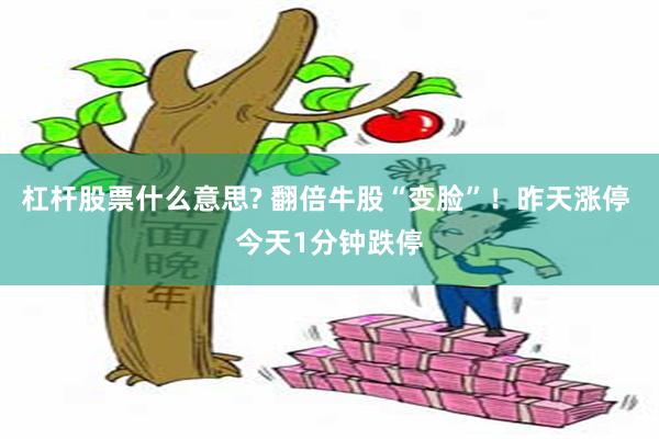 杠杆股票什么意思? 翻倍牛股“变脸”！昨天涨停 今天1分钟跌停