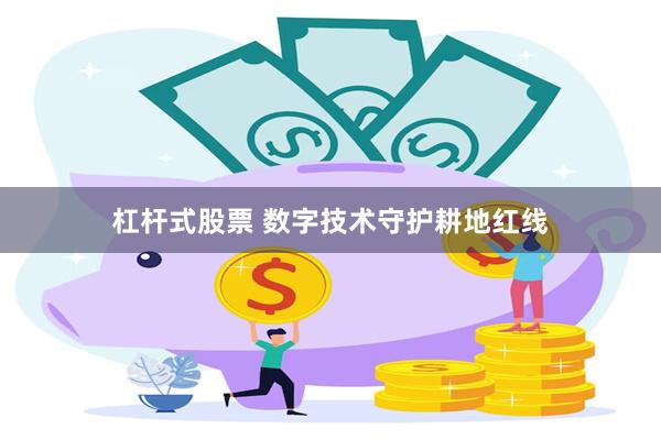 杠杆式股票 数字技术守护耕地红线