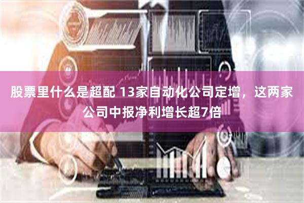 股票里什么是超配 13家自动化公司定增，这两家公司中报净利增长超7倍