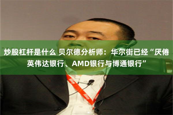 炒股杠杆是什么 贝尔德分析师：华尔街已经“厌倦英伟达银行、AMD银行与博通银行”